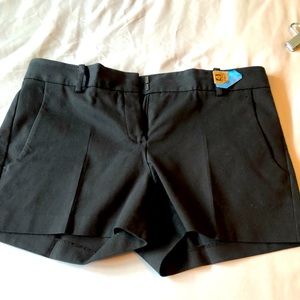 Theory shorts